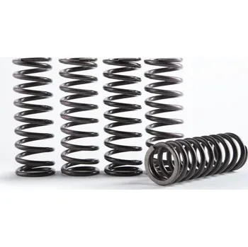 Spojková sada Hi-Temp Clutch Spring Kit HINSON CS330-5-0509 (sada 5)