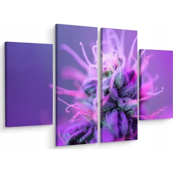 Obraz Obraz ROSTLINA z Blízka Efekt 3D 4 Díly 120x90
