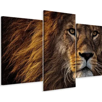 Obraz Obraz Triptych LEV Portrét Zvířete Dekor 3D 60x40