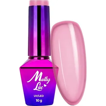 Přípravek na nehty Hybridní lak na nehty MOLLYLAC 10g Miss Iconic Secret Things Č. 511