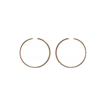 RC model Kavan FS180AR: Pístní kroužek (2pc)