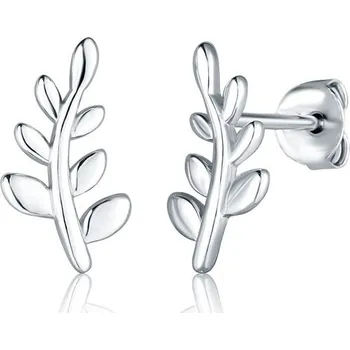 Náušnice Stříbrné náušnice větvičky