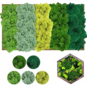 Obraz Dekorativní mech chrobotek sobí Scandinavian Moss 300 g zelený