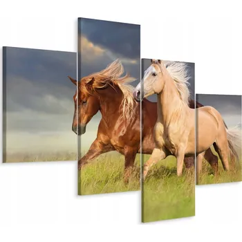 Obraz Obraz Čtyřdílný Galopující KONĚ na Louce 80x50