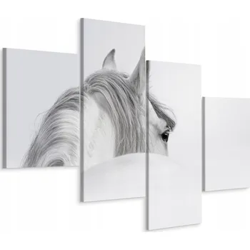Obraz Čtyřdílný obraz Bílý KŮŇ Zvíře Mlha 80x50