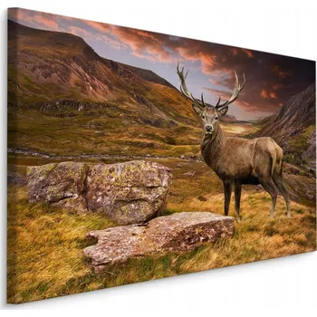Obraz Obraz do obýváku jelen příroda hory 30x20
