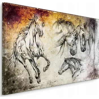 Obraz Obraz koně jako skica 40x30 /264525981