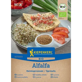 Semeno BIO Alfalfa - Vojtěška - Medicago sativa - bio semena na klíčení - 40 g