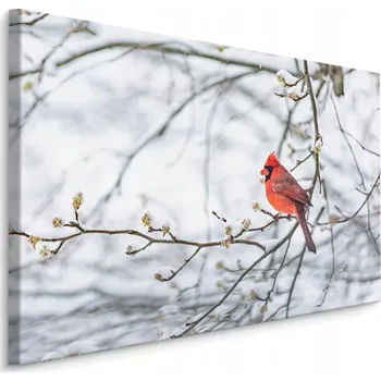 Obraz Obraz na plátně Pták příroda rostliny strom 30x20