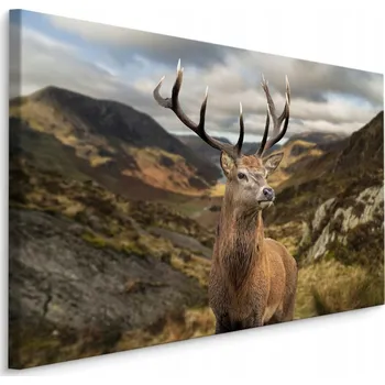 Obraz Obraz canvas jelen hory příroda krajina 30x20