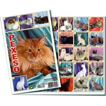 Pexeso Pexeso 32 - Kočky