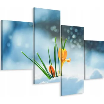 Obraz Obraz Čtyřdílný Květiny Krokusy Sníh 3D 80x50