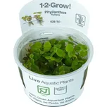 Tropica 1-2 Grow Phyllanthus Fluitans