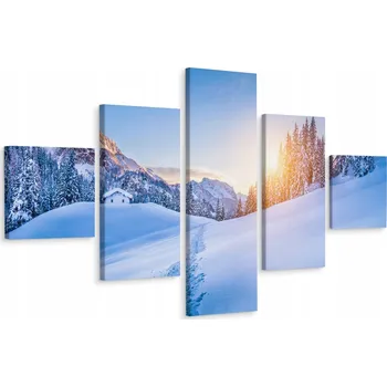 Obraz Vícedílný obraz HORY Stromy Sníh 3D 250x150