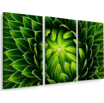 Obraz Obraz Tryptych Zelená ROSTLINA Makro Detail 60x40