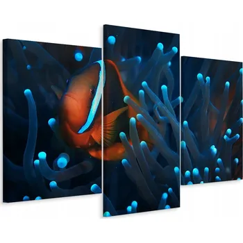 Obraz Obraz Tryptych RYBA Sasanka Příroda Makro 3D 90x60