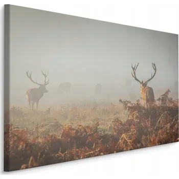 Obraz Obraz do jídelny jeleni pole mlha SLUNCE 30x20