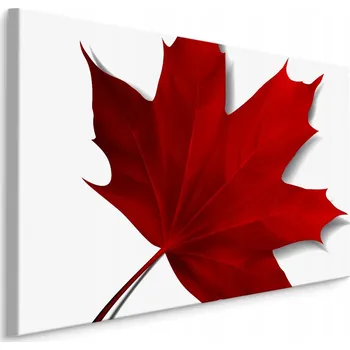 Obraz Obraz do kanceláře ČERVENÝ Javorový List Příroda 30x20