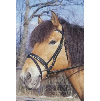 Vybavení pro koně Covalliero English Standard 2 Ohlávka (cob)