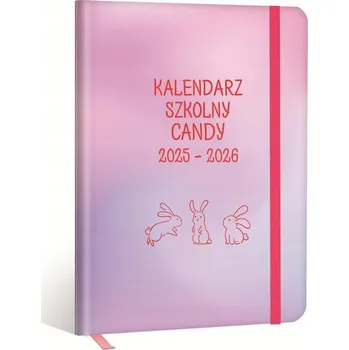 Kalendář Knižní diář 2025 B6 Kalpol.Bis růžový
