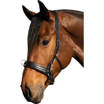 Lonžovací obnosek HKM Comfort, černá, Full