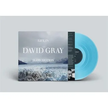 Zahraniční hudba David Gray - Life In Slow Motion (20th Anniversary Edition) (Blue Vinyl) (LP)