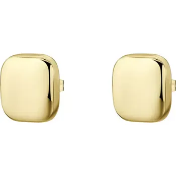 Náušnice Náušnice Brosway MUSE