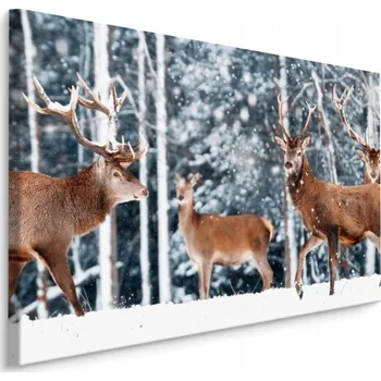 Obraz Obraz na plátně Stádo Jelenů Zimní LES 30x20