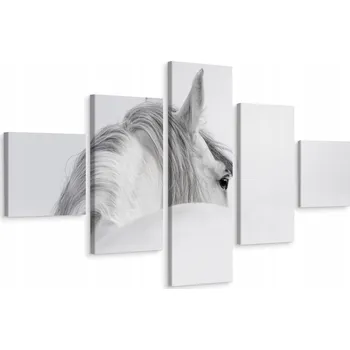 Obraz Vícedílný obraz Andaluský kůň v mlze 3D 150x90 cm