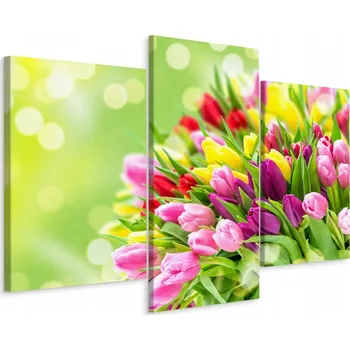 Obraz Obraz Triptych KVĚTINY Tulipány Příroda 3D 60x40