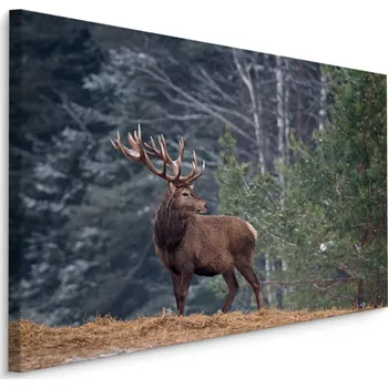 Obraz Obraz do Kanceláře JELEN Les Stromy Krajina 3D 30x20