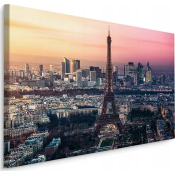 Obraz Panoramatický obraz Paříže 30x20 /38382346