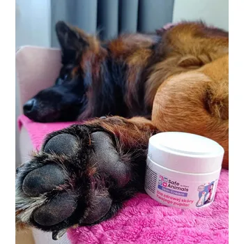 Kosmetika pro psa Krém na tlapky a kůži pro psy a kočky – Safe Animals Skin Cream