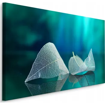 Obraz Obraz do obýváku LISTY zblízka Příroda 3D 30x20