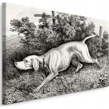 Obraz Černobílý obraz do obýváku - lovecký pes 40x30 cm