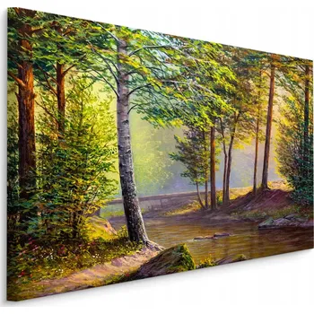 Obraz Nástěnný obraz LES Řeka Stromy Příroda 3D 30x20