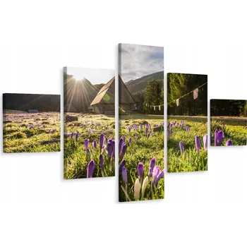 Obraz Vícedílný obraz SLUNCE v horách Krajina 3D 250x150