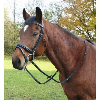 Vybavení pro koně Ohlávka Kerbl 01 anglická 1 (poník)