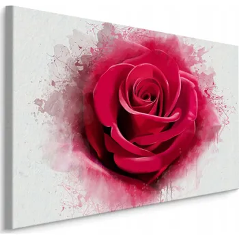 Obraz Obraz do chodby RŮŽE zblízka Malba 3D 40x30