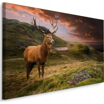 Obraz Obraz do ložnice JELEN hory krajina 3D 30x20