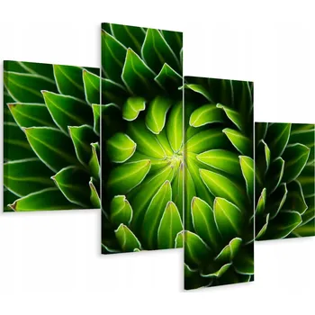 Obraz Čtyřdílný obraz Rostlina ZELEŇ Příroda 3D 80x50
