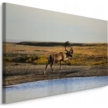 Obraz Obraz na plátně Jelen u Vody PŘÍRODA 3D 30x20