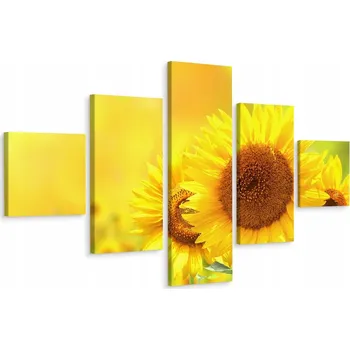 Obraz Vícedílný obraz SLUNEČNICE Květiny 3D 250x150