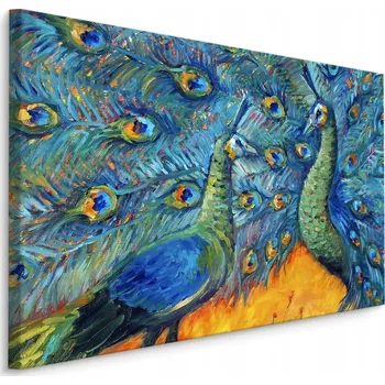 Obraz Obraz páví pera ptáci barevný do obýváku 40x30 cm