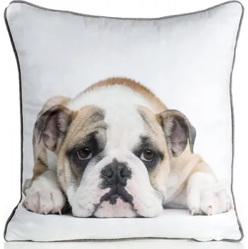 Povlak na dekorativní polštářek Dekorativní povlak na polštář 45x45 cm z veluru se zvířecím vzorem