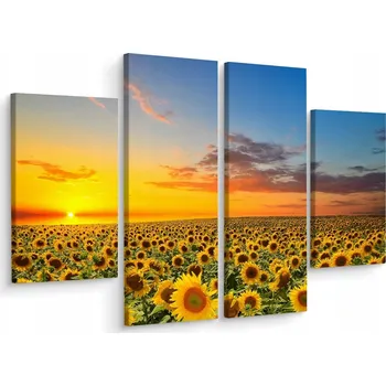 Obraz Vícedílný obraz SLUNEČNICOVÉ Pole 3D 160x120