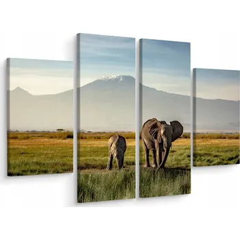 Obraz Čtyřdílný obraz SLONI Horská krajina 3D 80x60