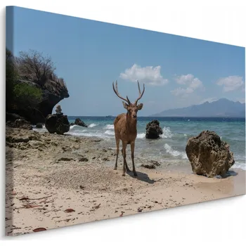 Obraz Nástěnný obraz Jelen PLAŽ Pláž Krajina 3D Příroda 30x20