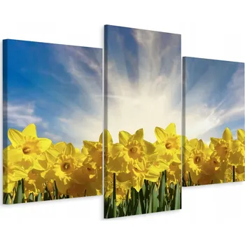 Obraz Obraz Triptych NARCISY Květiny Krajina 3D 60x40