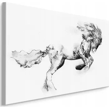 Obraz Obraz kůň jako skica 40x30 /258953382